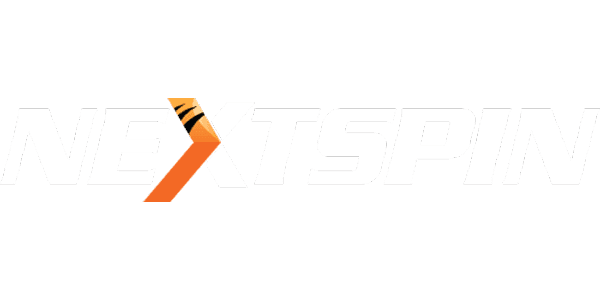 NS-COLOR logo